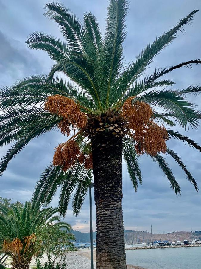Apartman Ana Zeleni Pojas Bar Eksteriør bilde